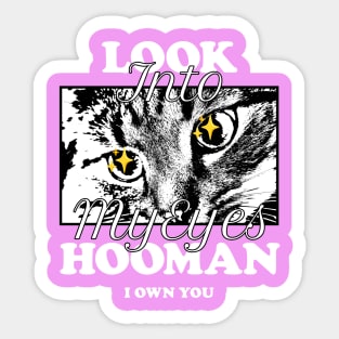 Look Into My Eyes Hooman: I Own You Sticker